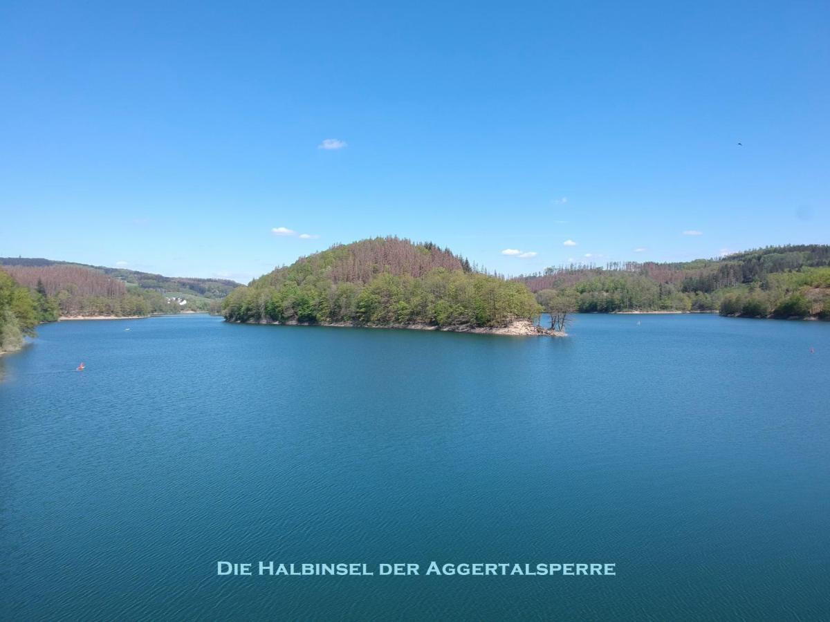 Seeblick-Ferienwohnung Im "Ferienhaus Agger-Blick" Mit Traumhafter Sonnen-Terrasse, Sauna, E-Kamin & Kajak Gummersbach Buitenkant foto